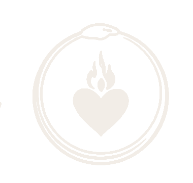 Cuore Medicina