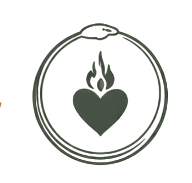 Cuore Medicina